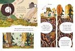 5-Minute Nature Stories