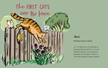 Cat Got Your Tongue? - Curious Feline Phrases From Around the World