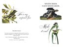 Effin' Birds: A Field Guide to Identification