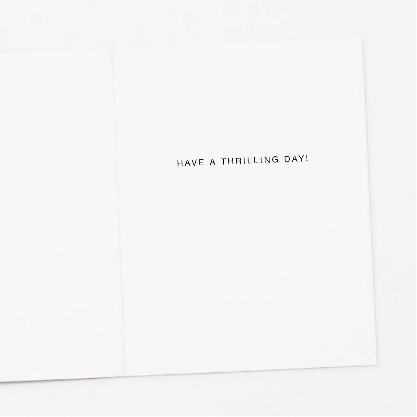 Roller Coaster Birthday Card