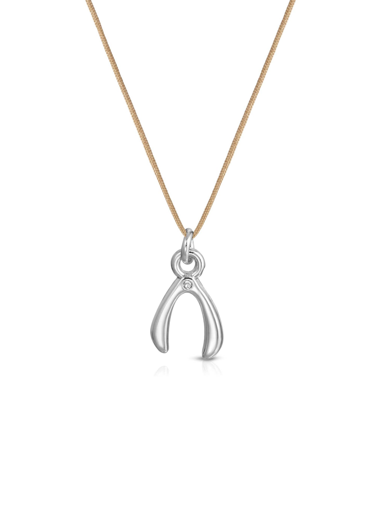 A Wish for You Charm Necklace
