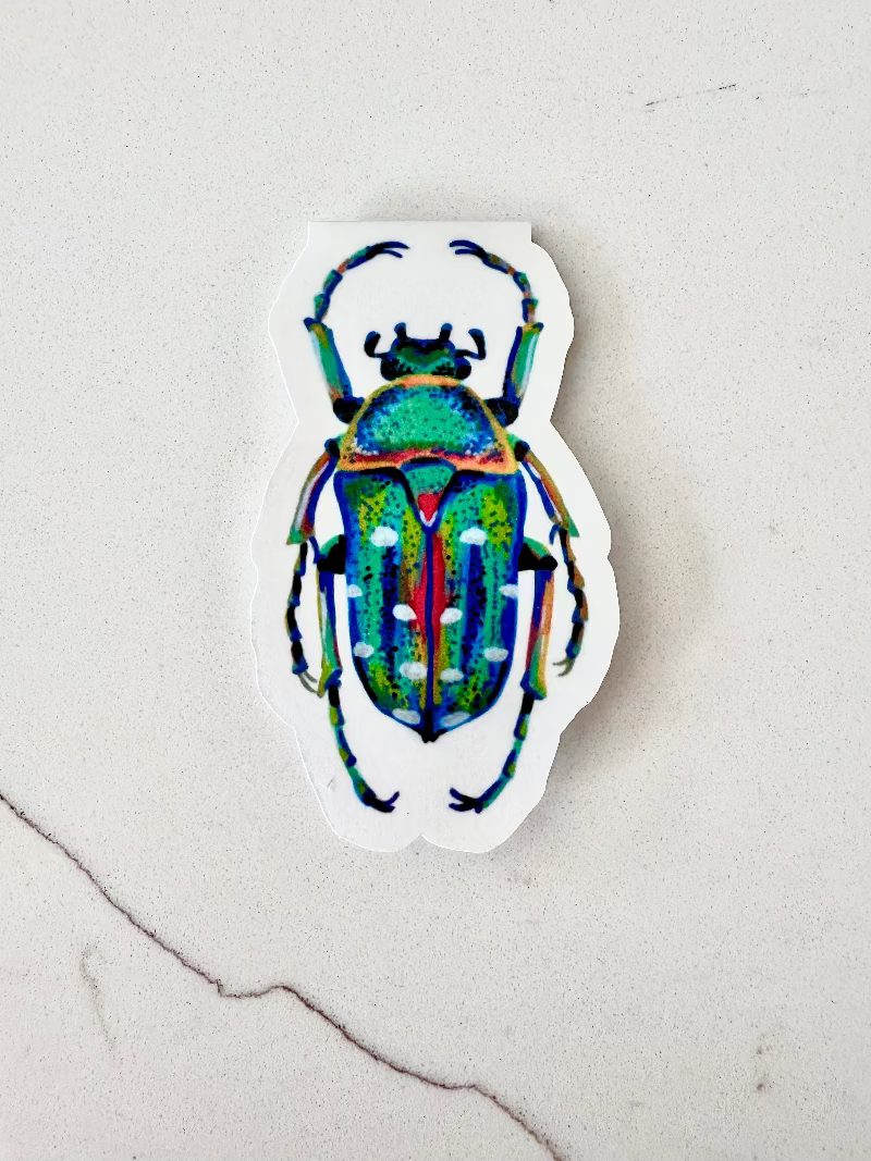 Colorful beetle magnetic bookmark on a textured beige surface