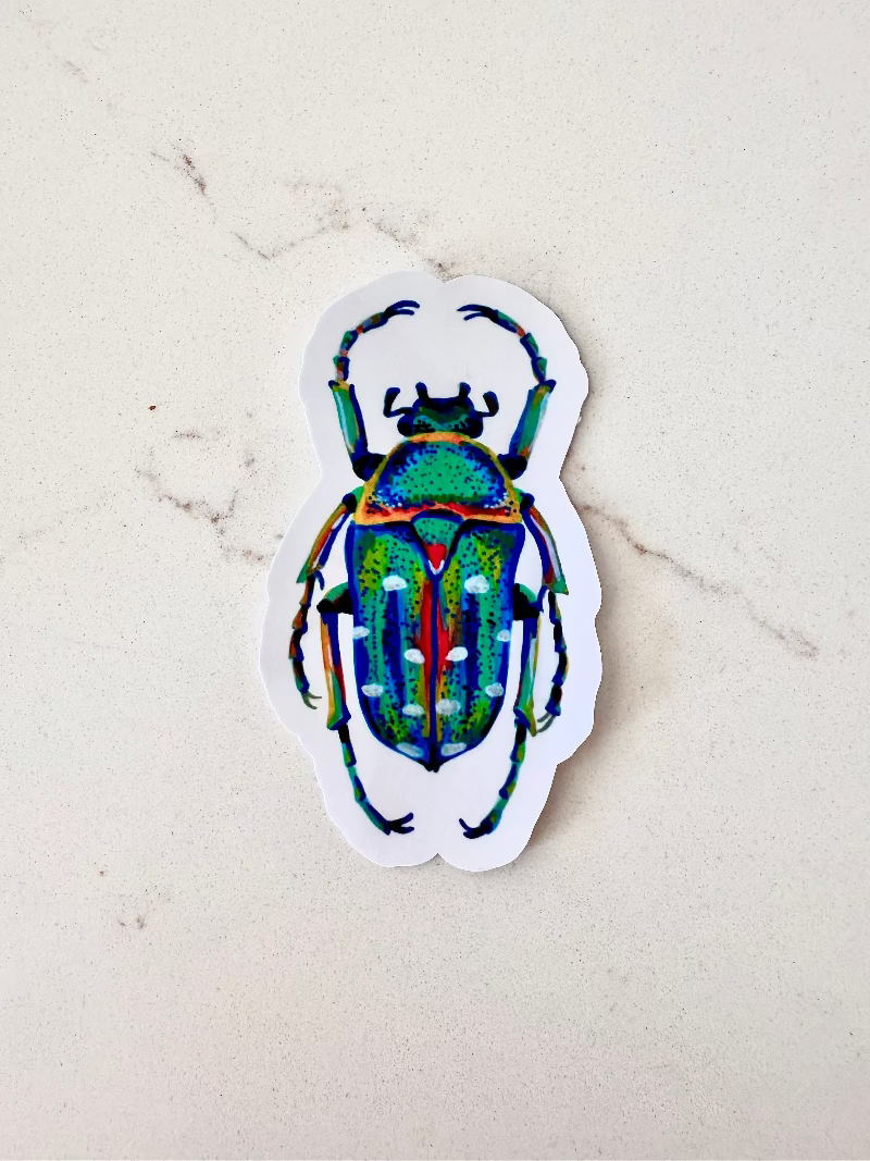 blue green red spotted beetle insect on a marbled surface