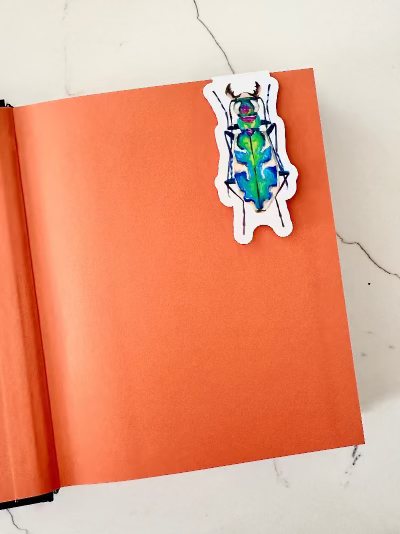 Colorful beetle magnetic bookmark on an open book with a white background