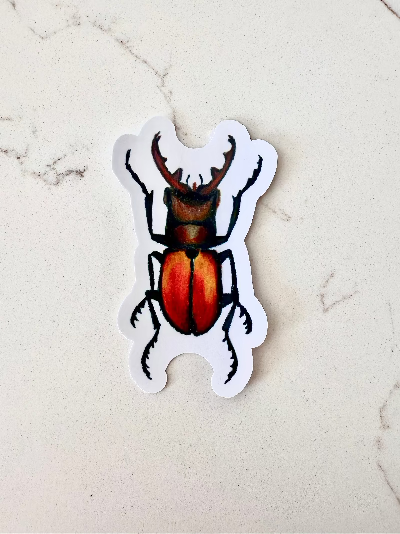 brown orange insect beetle sticker on a marbled surface