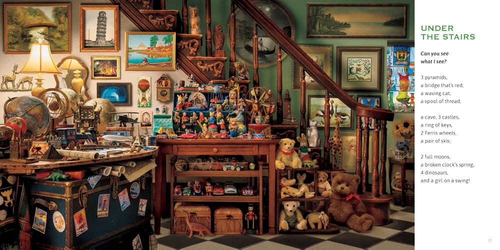 Can You See What I See?: Curiosity Shop