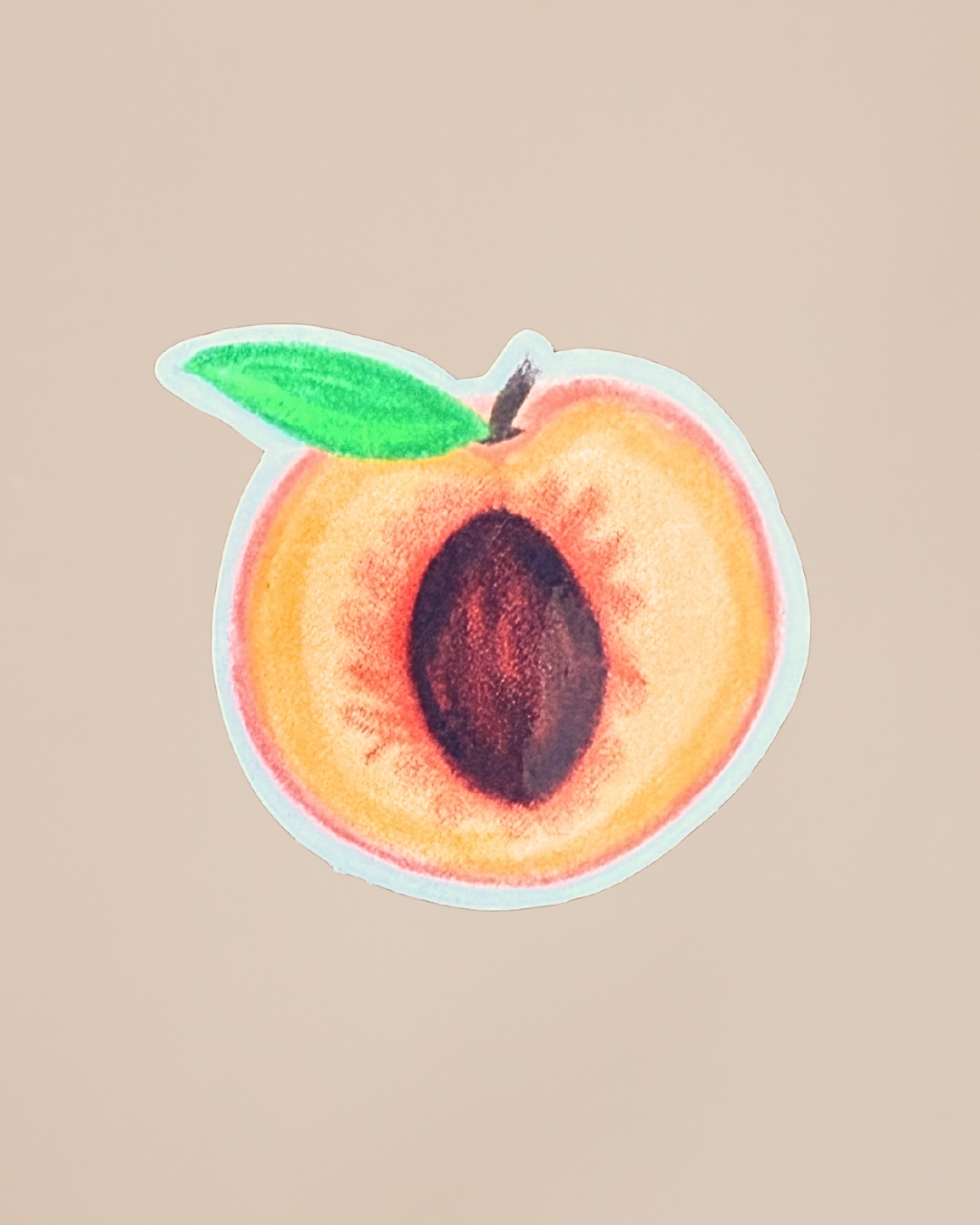 Hand Drawn Fruit Stickers | Cute Vintage Aesthetic Stickers