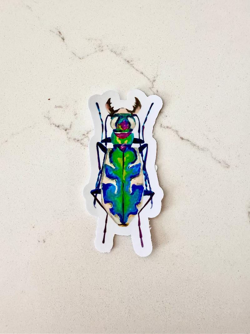 blue green purple beige beetle insect sticker on a marbled surface