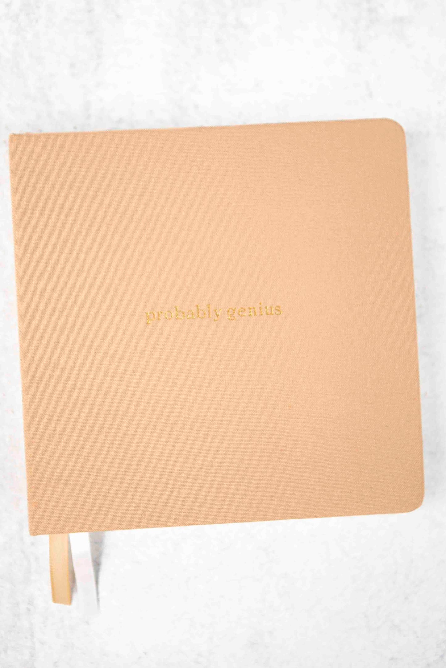 Beige notebook with 'probable genius' text on a white background