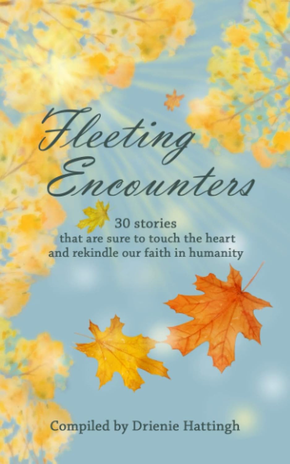 Fleeting Encounters