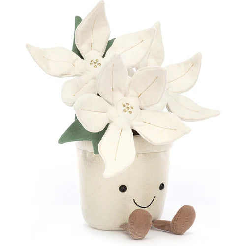 Amuseable Gold Poinsettia