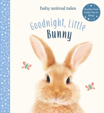 Goodnight, Little Bunny Board Book