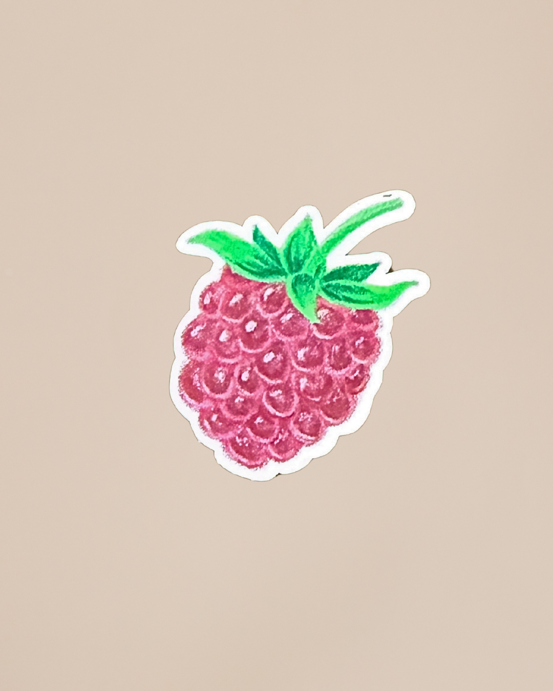 Hand Drawn Fruit Stickers | Cute Vintage Aesthetic Stickers