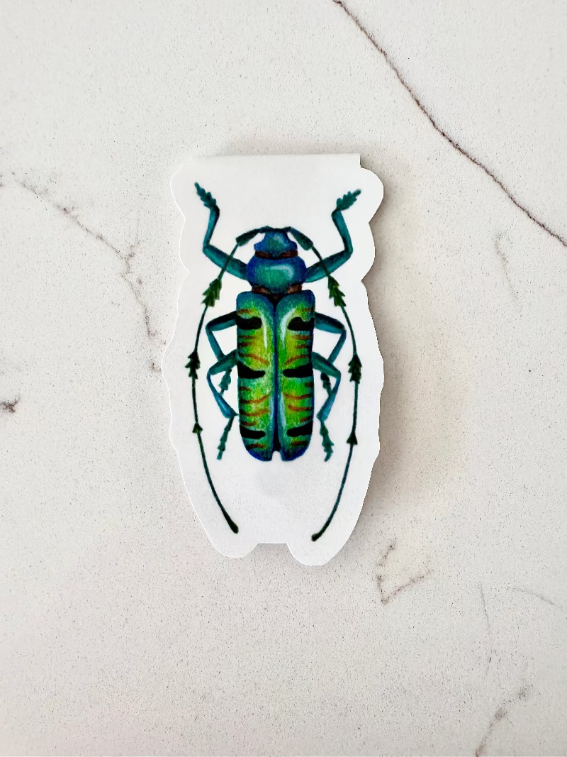 Magnetic bookmark of a green and blue beetle on a marble surface
