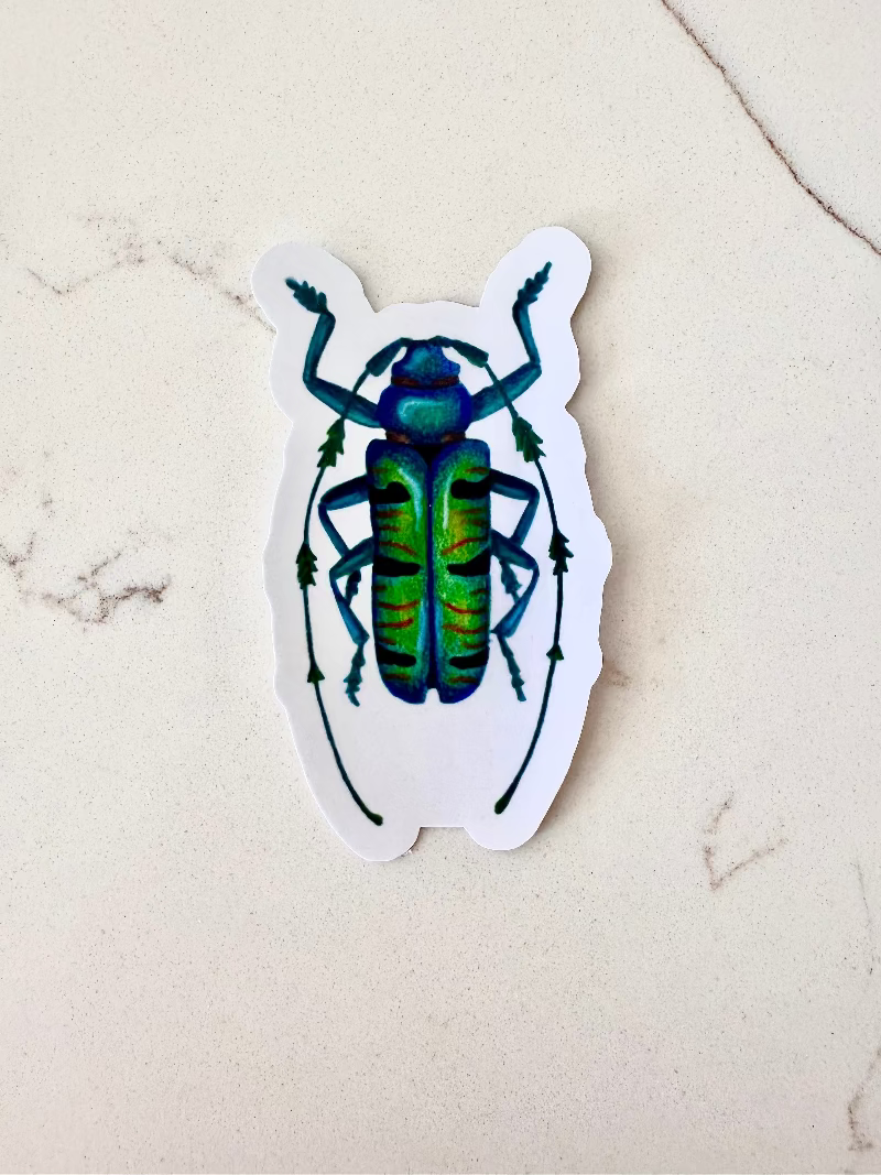 blue green striped beetle insect sticker on a marbled surface