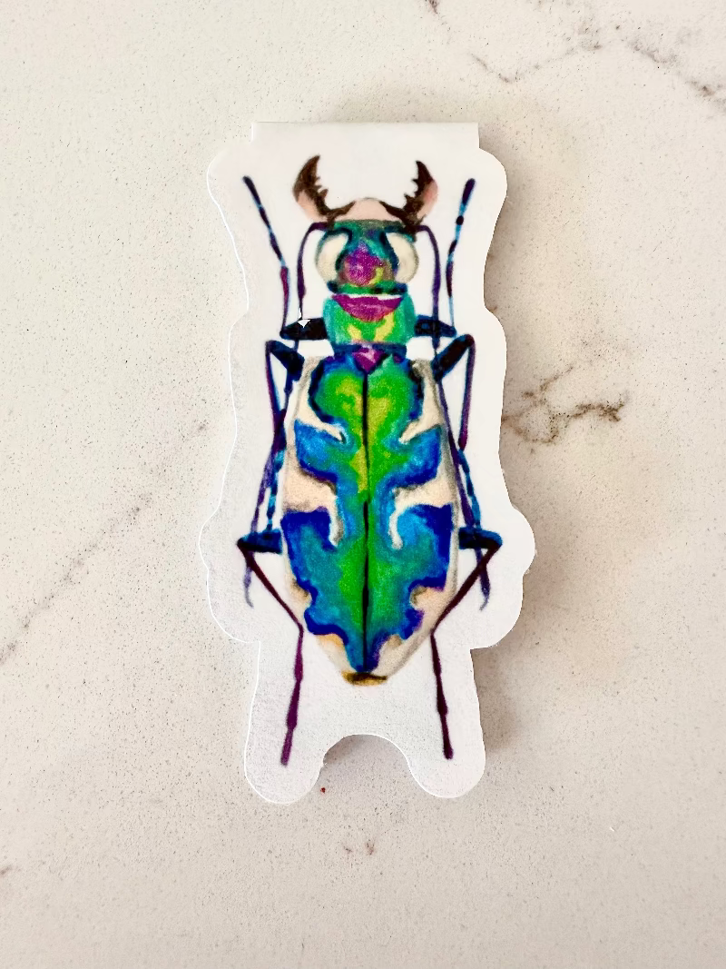 blue green purple beige beetle insect on a marble background