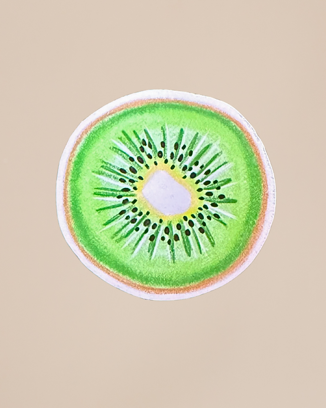 Hand Drawn Fruit Stickers | Cute Vintage Aesthetic Stickers