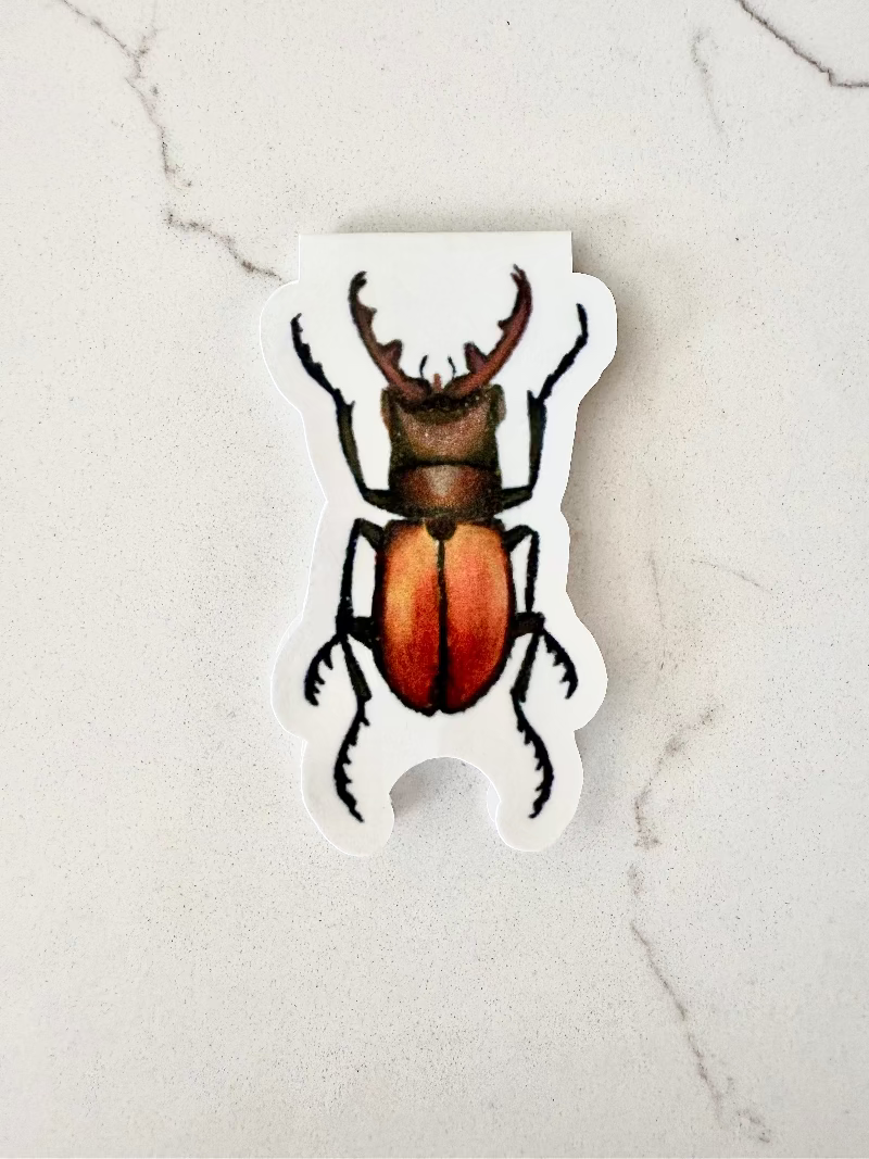 brown and orange beetle magnetic bookmark on a marble surface