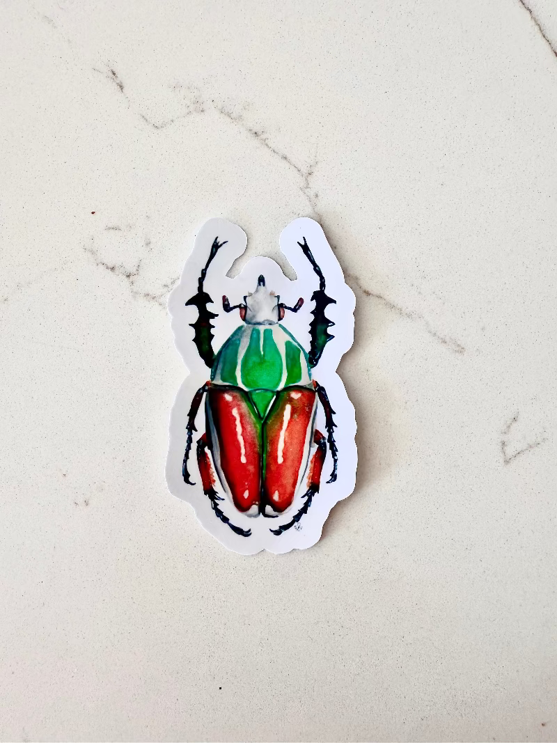 green orange and red beetle insect sticker on a marbled surface