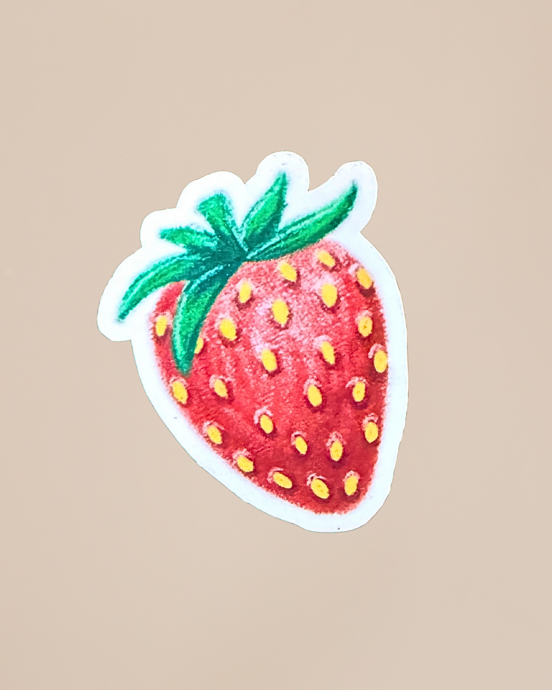 Hand Drawn Fruit Stickers | Cute Vintage Aesthetic Stickers
