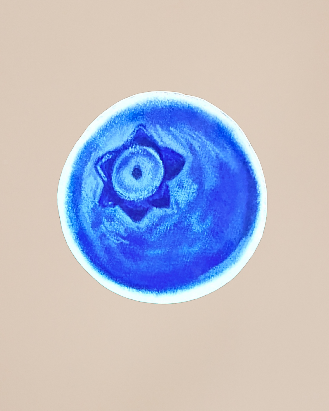 Hand Drawn Fruit Stickers | Cute Vintage Aesthetic Stickers