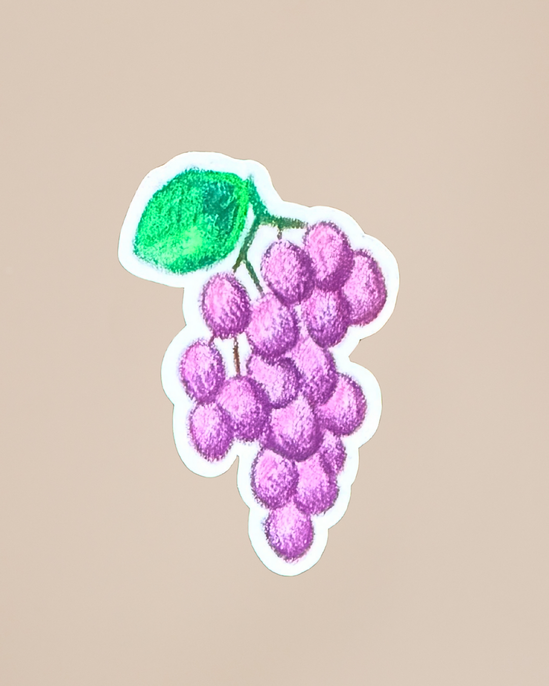 Hand Drawn Fruit Stickers | Cute Vintage Aesthetic Stickers