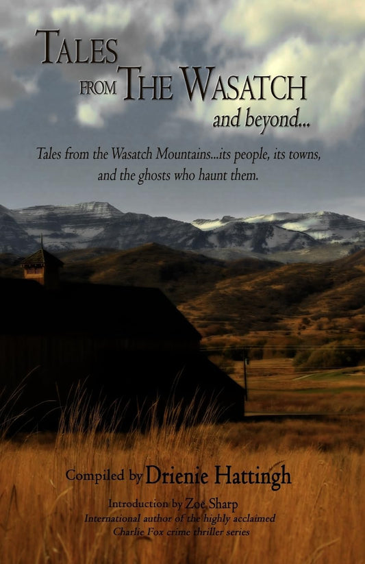 Book cover of 'Tales from The Wasatch and beyond' with a mountain landscape and horse silhouette.